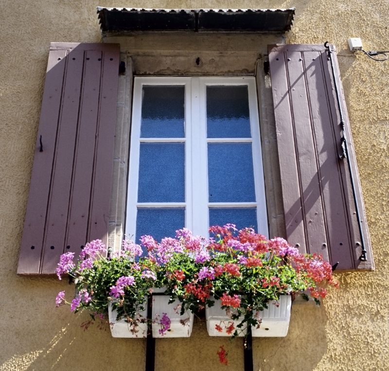 Plantation Shutter Repair