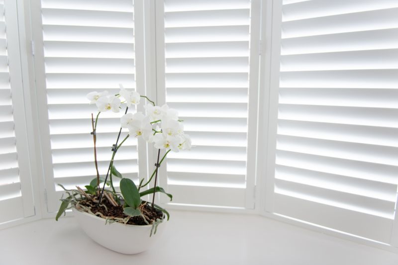 Window Shutter Installation in Alpharetta, GA